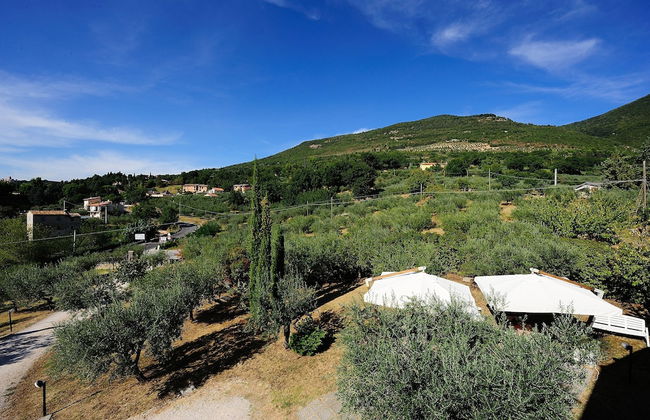 Agriturismo Colle degli Olivi - Foto 20