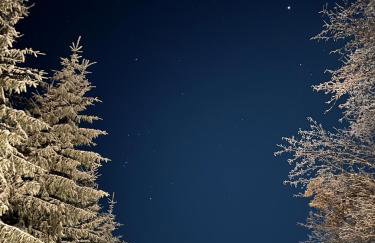 Jurkowa Wola - Foto 42