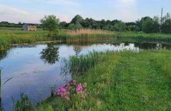 Acorn Cottage - Foto 8