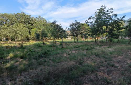 location saisonnière curiste - Foto 16