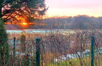 Żurawisko - Domki wśród natury - Foto 39