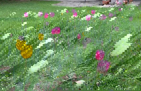 Agriturismo Cascina Madonnina - Photo 35