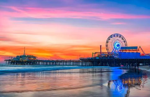 Mid Century With Pool GYM and Parking 10min to Cedars - Photo 52