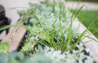 Le NaturOspa spa privatif - Foto 25