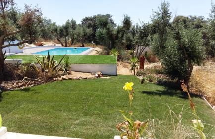 Monte do Mato dos Homens - Foto 30