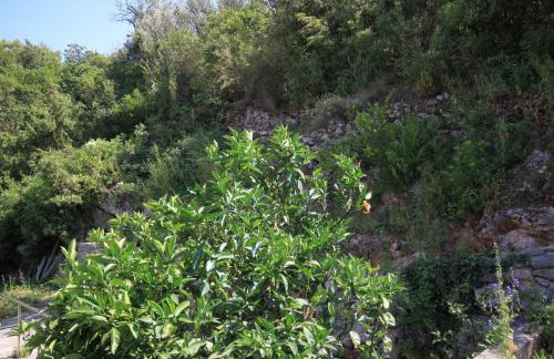 Apartments by the sea Luka - Dugi otok - 8151 - Photo 25