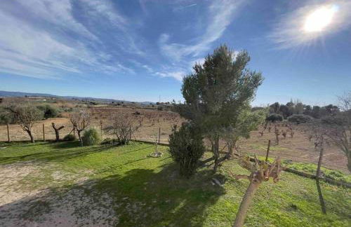 Casa Rural Cal Casetó - Foto 18