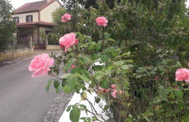 Casa Hozani - Foto 21