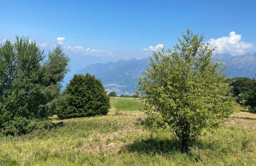 La coccinella - Foto 28