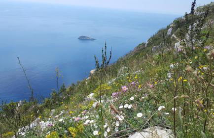 Gli Ulivi Agriturismo - Foto 26