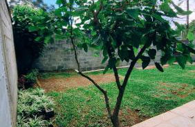 Cantinho Dona Cleide - Foto 70