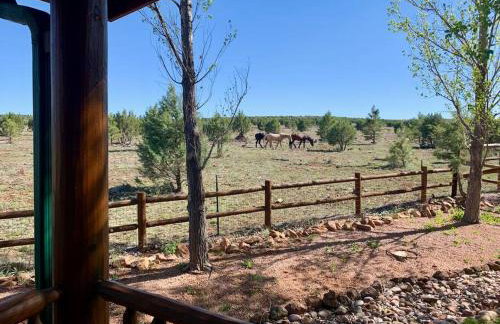 Cabin with Wild Horses, Fireplace, Dog Friendly & StarLink - Foto 20