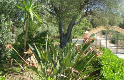 Villa Su Navru - Photo 45