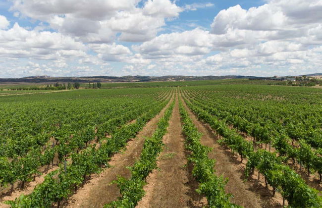 Visita a las bodegas Habla - Foto 1