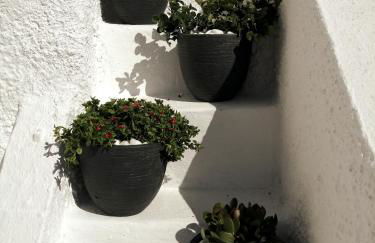 Santorinian Lava House - Foto 33