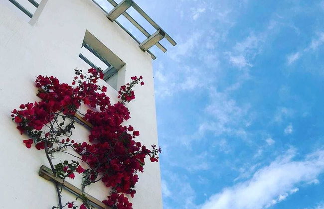 Agriturismo Masseria Cannella - Foto 42