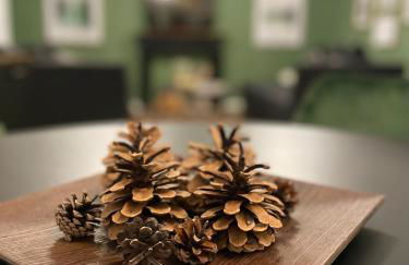 Blackforest Apartment - Foto 7