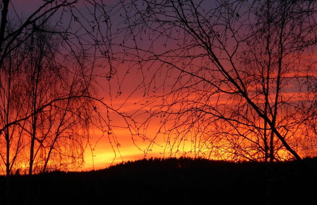 Forest Retreat w/ Sauna - Foto 37