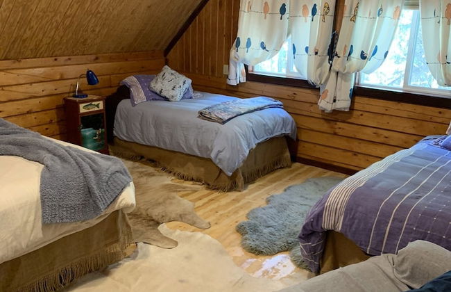 Joy's Kenai River Cabins - Foto 23