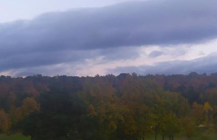 Wood, Wine & Golf - Foto 39