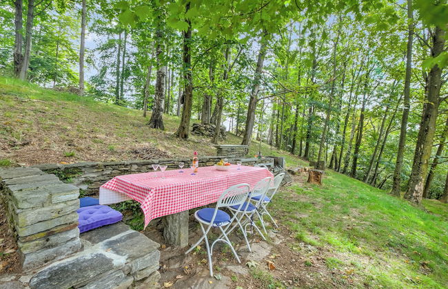 Magic Woodland Escape Lake View - Photo 24