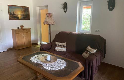 Bednarzówka Hajnówka - Foto 6