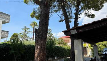 Villa Nina - Photo 1, Garden, Garden view