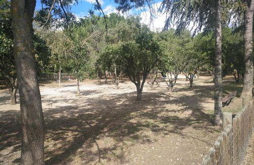 Imperial, 9 - Foto 44