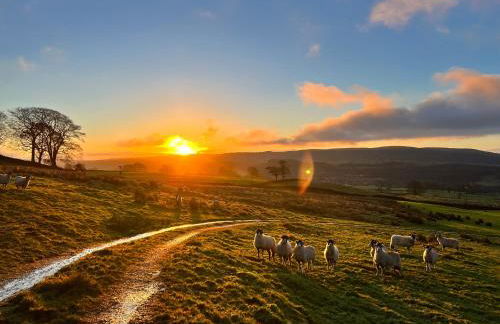 Luxury Retreat - Foto 15