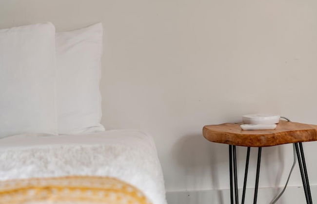 NEW Luxe Pet Friendly Free Parking Downtown - Foto 23