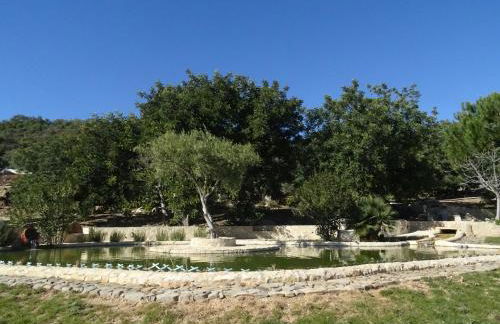 Quinta do Julião - Foto 12