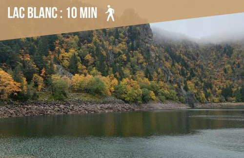 Le Belvédère du Lac Blanc - Photo 37