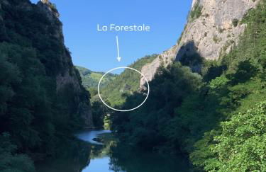 LA FORESTALE Luxury Ecolodge Piano Terra- Appt - Foto 8