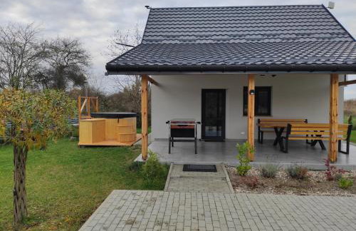 Zatoka Perska - dom Francuz z opcją gorącej banii nad jeziorem Tarnobrzeskim - Foto 16