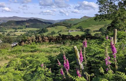 Oakside Cottage Braithwaite - Foto 22