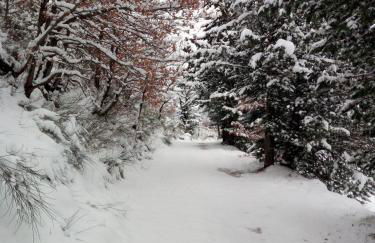 Agriturismo del Frontino - Ca' Marianna - Foto 35