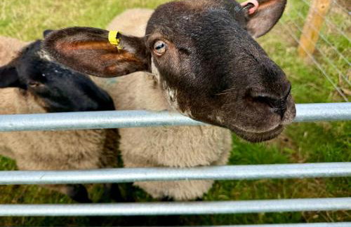 Four Bedroom House With Private Pool - Stunning countryside location with parking close to Chester City Centre - Photo 27