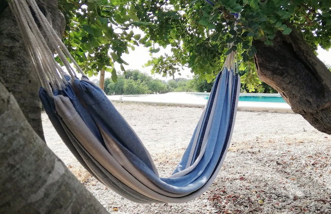 Le Chiuse di Guadagna - Foto 33