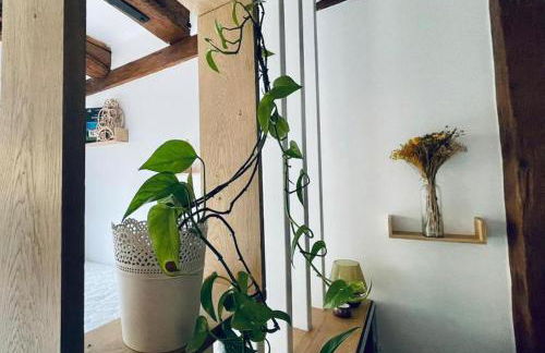 Charmant studio dans le vignoble proche Strasbourg - Foto 24