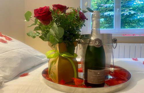 l'écrin du clocher maison piscine jardin wifi - Photo 40