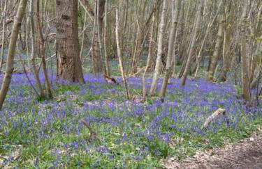 Shangri la at Beauport - Foto 26