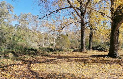 La Casirria - Foto 32