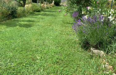 La Grenouillère - Foto 19