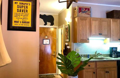 Attitash Mountain Village Studio - Slope View - Ski - Storyland - Photo 42