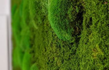 Ferienwohnung Mühl - Familienfreundlich, 2 Schlafzimmer, großes Grundstück, Erzgebirge - Foto 57