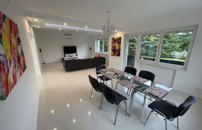 Modern House with Garden - Photo 13