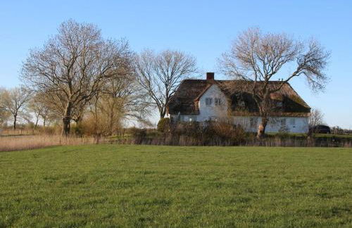 Reetdachhaus-Poppenbüll - Foto 6