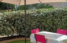 AGREABLE REZ DE JARDIN AVEC TERRASSE PROCHE PLAGE - Foto 1