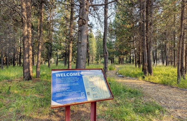 Lazy River Glamp-house by Avantstay Newly Built, Luxe Indoor-outdoor Living - Foto 53