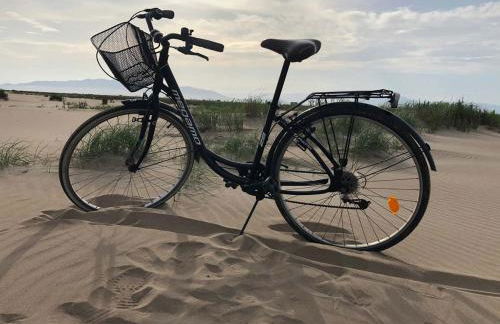 Lo Segador - Foto 15